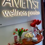 公寓式酒店 Ametyst