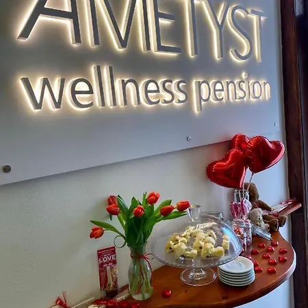 Aparthotel Wellness Ametyst
