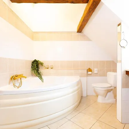 Wellness Ametyst Český Krumlov